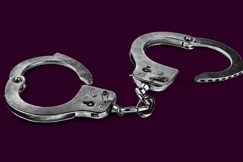 काठ र बँदेलको बच्चा चोरीनिकासीमा संलग्न तीन अभियुक्त पक्राउ