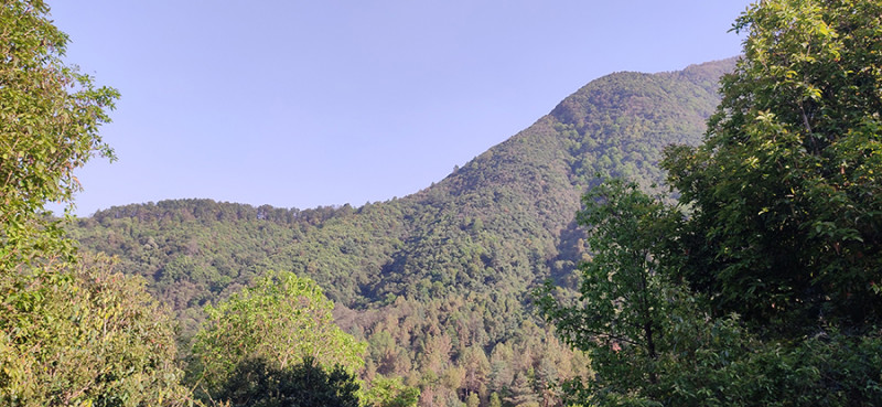 संरक्षण क्षेत्रका नाममा वनलाई संघ मातहत ल्याउने प्रपञ्च