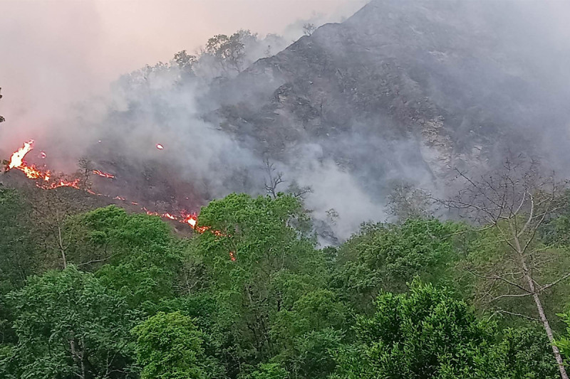 म्याग्दीमा डढेलोबाट ७० हेक्टर वनमा क्षति