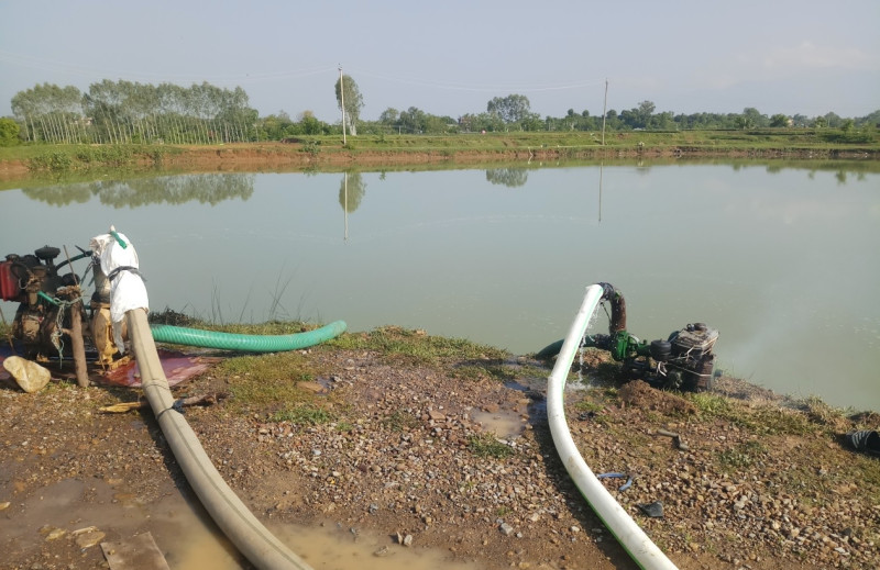 कृत्रिम जलाशयको भरमा रोपाइँ (तस्वीरहरू)