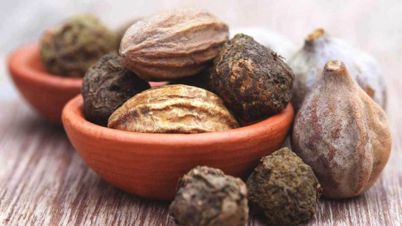 किन बचाउने हाम्रा हर्रो, बर्रो, यार्चागुम्बा ?