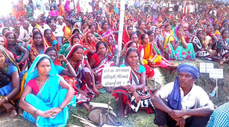 स्थानीय सरकारले लखेट्न थालेपछि मुक्त हरुवाचरुवा अधिकार यात्रामा