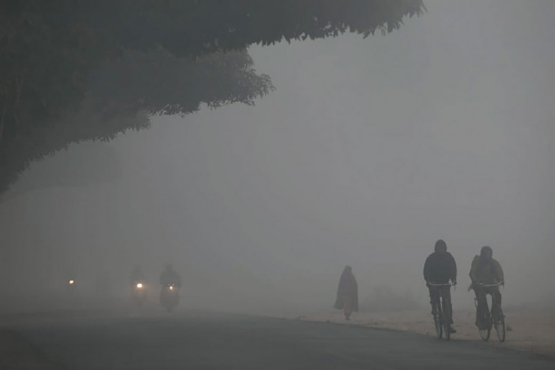 तराईमा बिहानैदेखि हुस्सु र कुहिरो