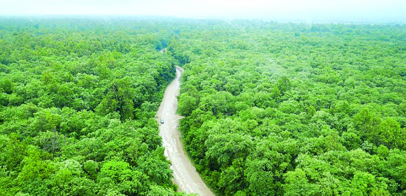 यस्तो छ निजगढ विमानस्थलबारे सरकारी निर्णय बदर गर्ने सर्वोच्चको फैसला (पूर्ण पाठ)