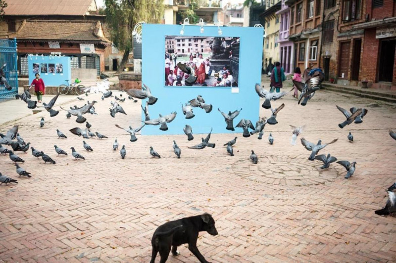 फोटो काठमाडौं महोत्सव फागुन दोस्रो साता