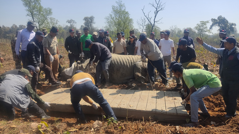 चितवन राष्ट्रिय निकुञ्जमा गैंडा स्थानान्तरण शुरू