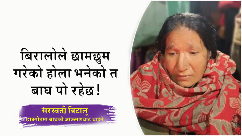 ‘बिरालोले छामछुम गरेको होला भनेको त बाघ पो रहेछ’ (भिडिओ)