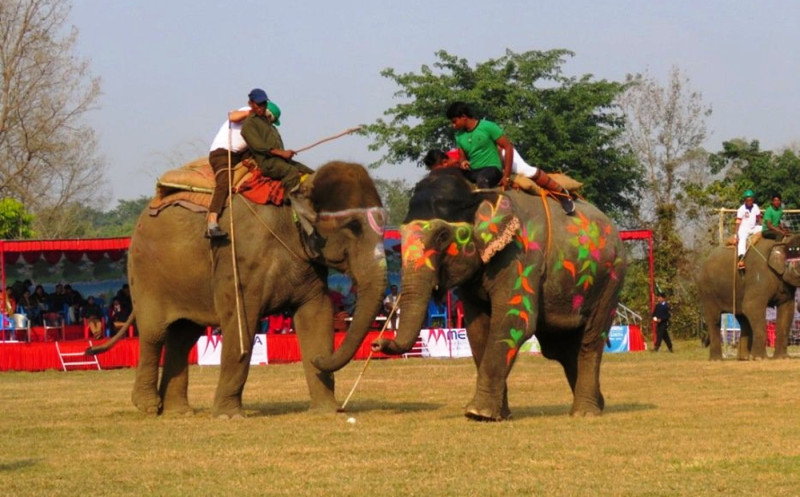 सौरहामा पुस दोस्रो साता हात्ती महोत्सव