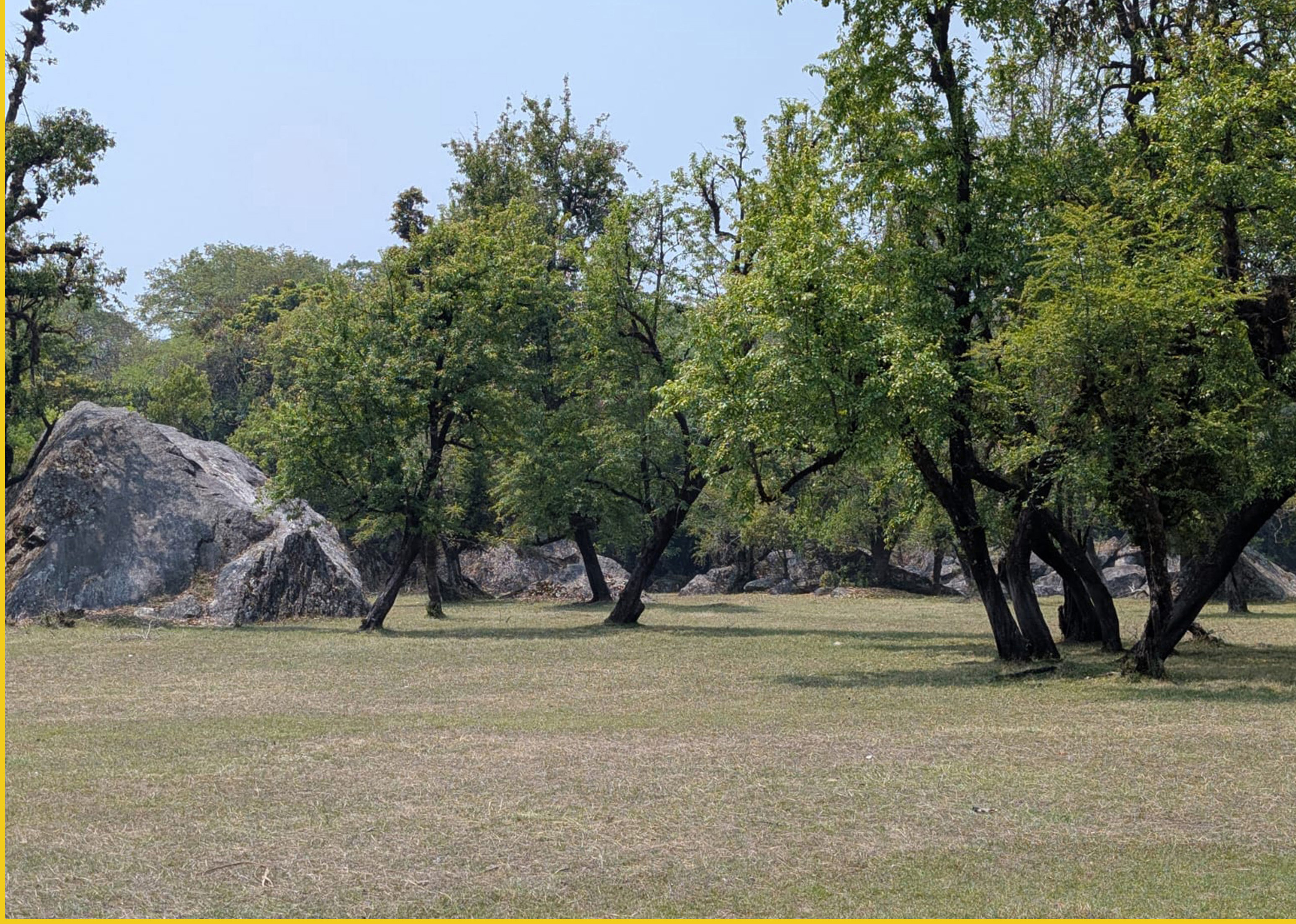 kinimini-1778426457-1778488996.jpg