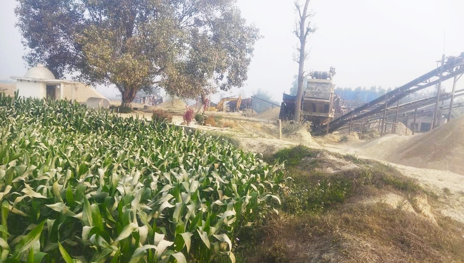 sripur-crusher-main-1749288706.jpg
